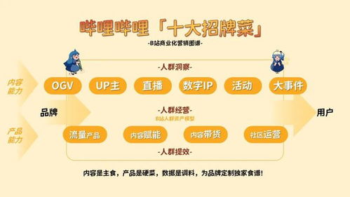 嗶哩嗶哩（B站）食品飲料行業(yè)廣告投放與營銷推廣策略深度分析及代理合作前景
